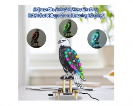 Soldering Practice Kit, Eagle-Shaped Bird Sound Player Kit with 10 Simulated Bird Sounds & RGB Lights, DIY Soldering Project for Teens/Adults Home Office Decor