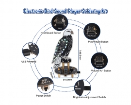 Soldering Practice Kit, Eagle-Shaped Bird Sound Player Kit with 10 Simulated Bird Sounds & RGB Lights, DIY Soldering Project for Teens/Adults Home Office Decor