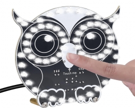 ICStation Soldering Learning Kit, Touch Control Owl Light Soldering Practice Kit With Brightness Adjustment, Owl Shaped LED Light DIY Kit for School Students STEM Education