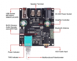 DC 12V 24V 30W TWS Bluetooth-compatiable Amplifier Audio Module Mono AUX/U-disk Music Player